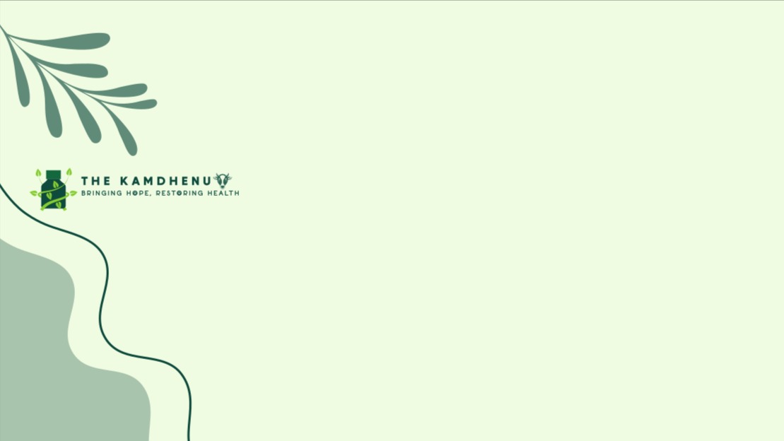 Main Banner Image 1